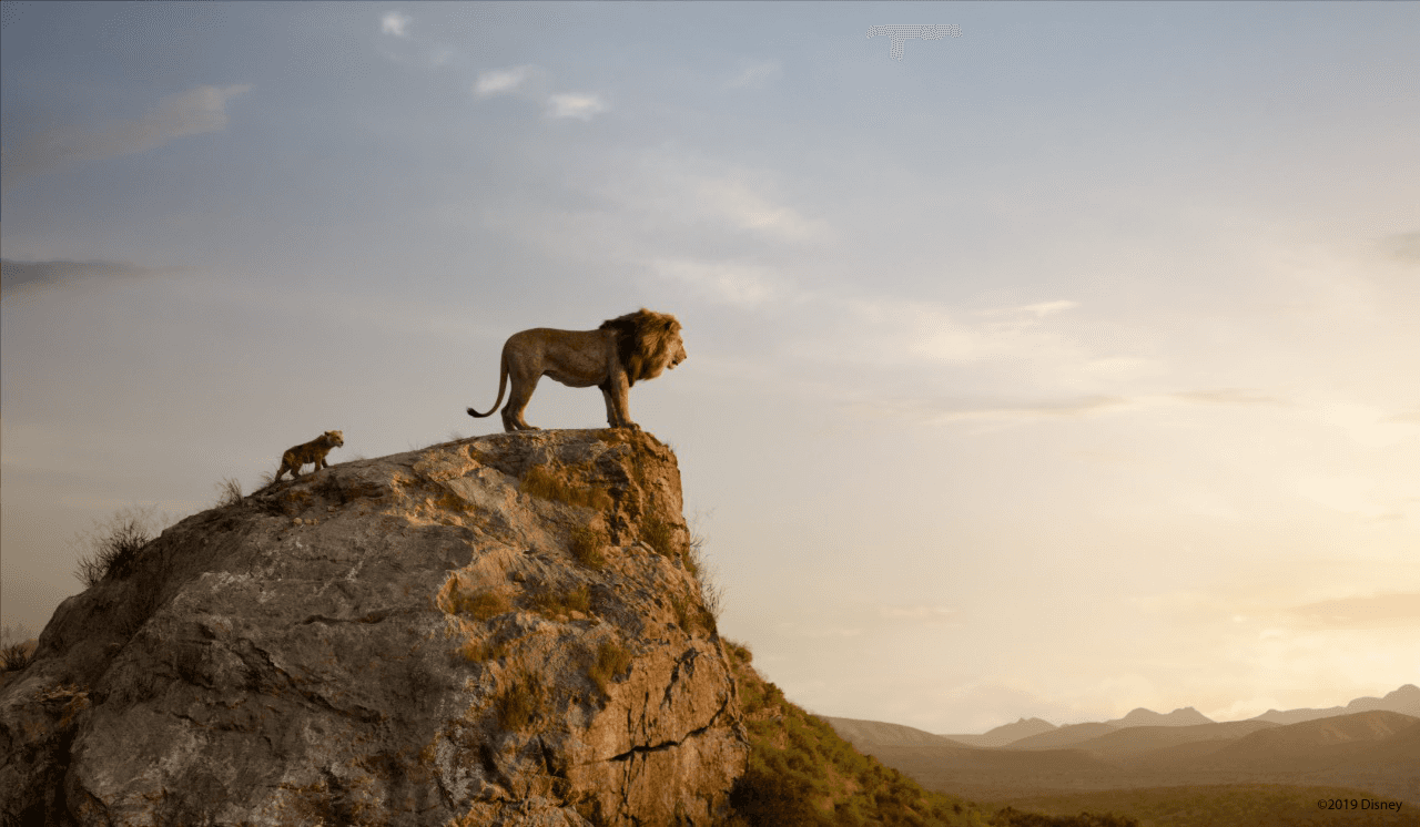Lion King, Tentang Sosok Pemimpin yang Bertanggung Jawab, Tegas Namun Hangat