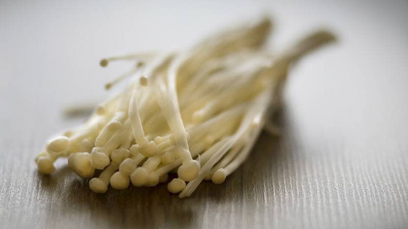 Mengenal Infeksi Bakteri Listeria dari Jamur Enoki, Seberapa Berbahaya?
