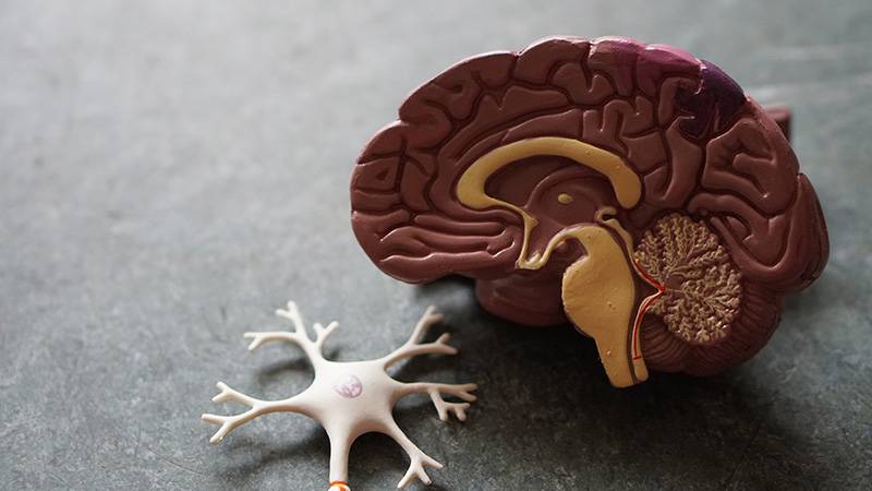 7 Kebiasaan yang Dapat Meningkatkan Risiko Demensia