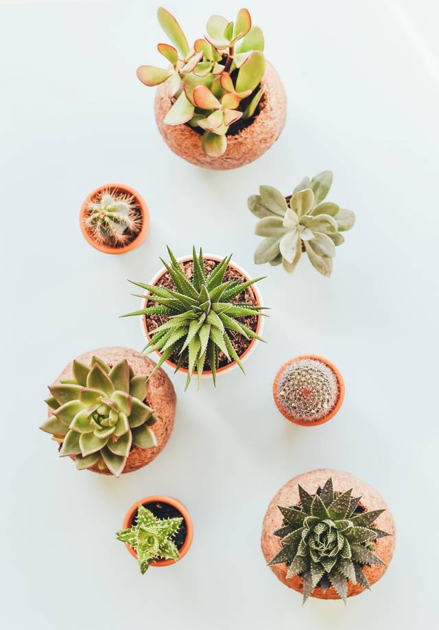 article