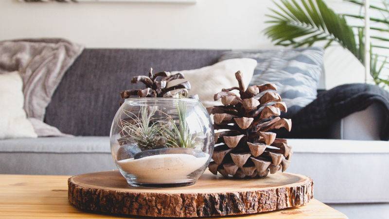 7 Produk Favorit di Rumah dari Para Ibu
