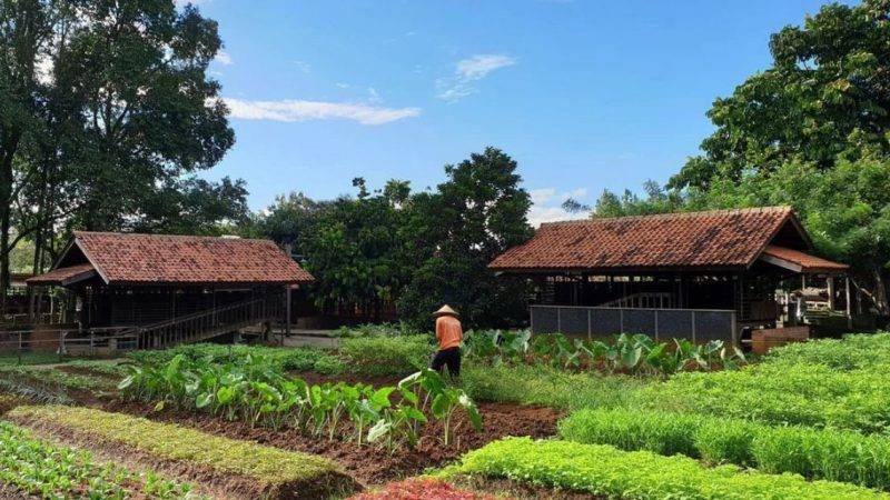8 Rekomendasi Tempat Bermain Anak di Ruang Terbuka