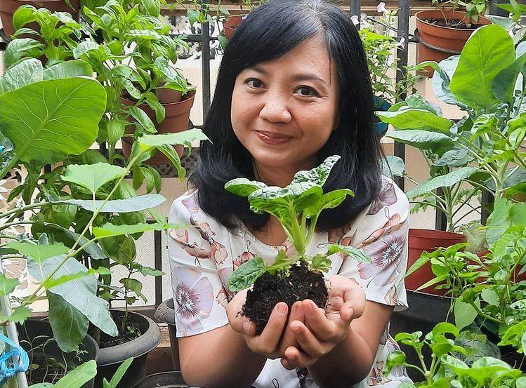 Sita Pujianto: Dari Berkebun di Balkon Hingga Mengompos Sampah