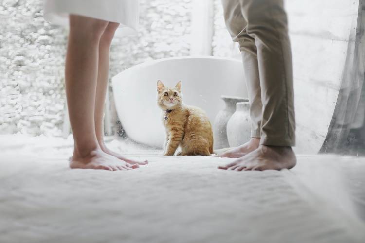 7 Fakta Tentang Petting, Salah Satu Kegiatan Penting Saat Bercinta