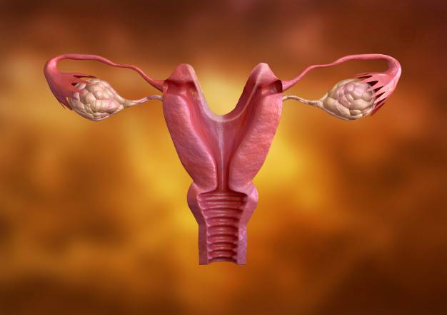 Tentang Fibroid Rahim (Miom), Tumor Jinak yang Tumbuh di Rahim