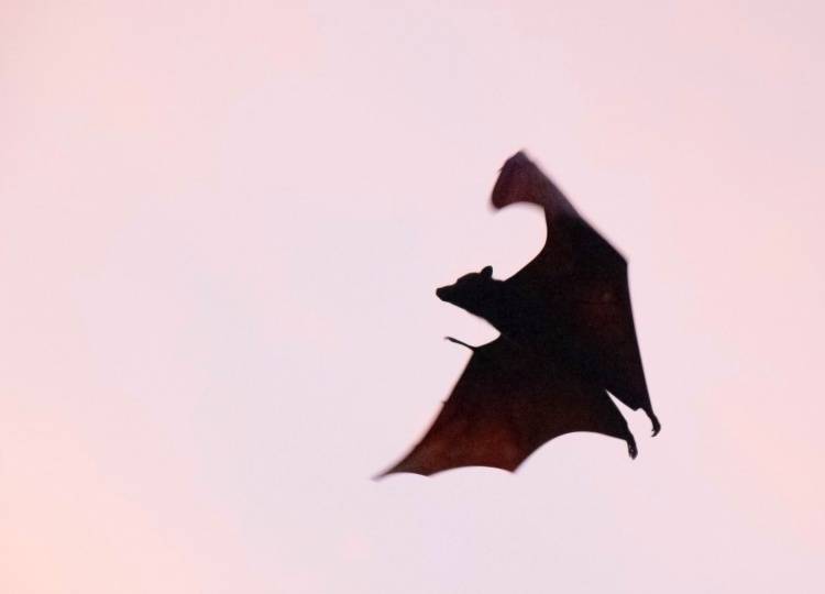 Mengenal Si Energy Vampire yang Membuat Kita Lelah Secara Mental