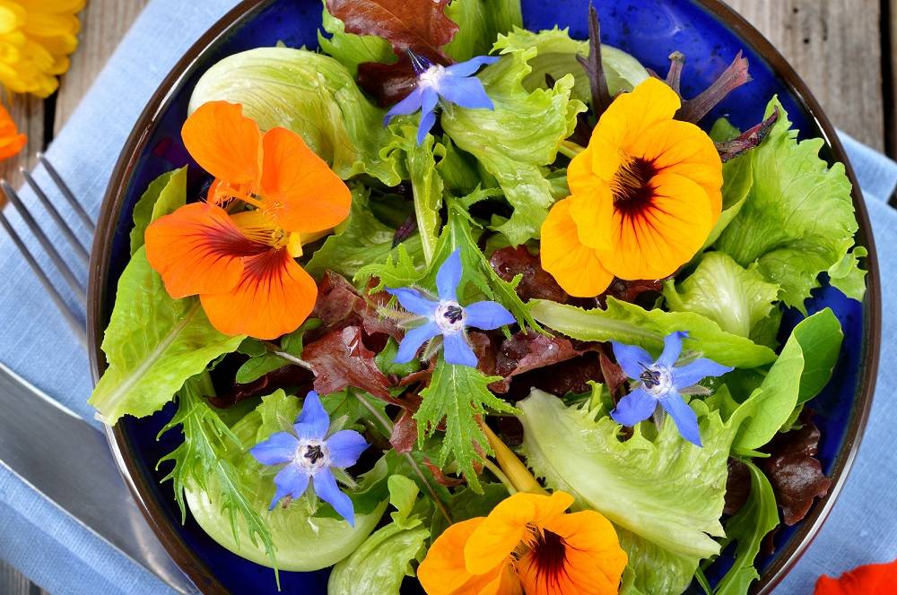 11 Rekomendasi Bunga Edible, Aman Untuk Dikonsumsi