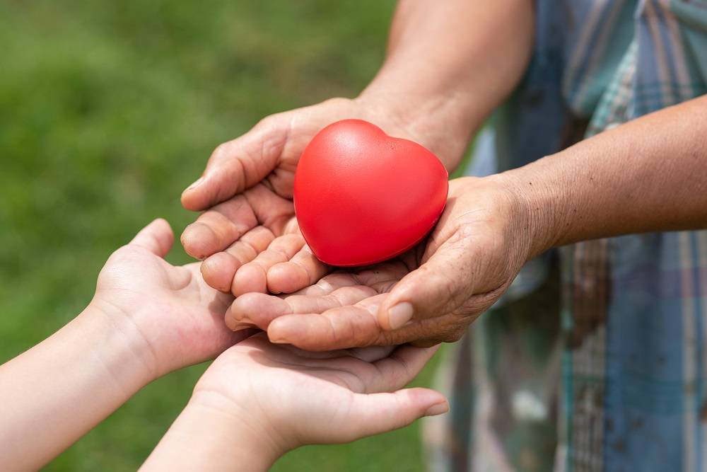 Syarat Jadi Pendonor Organ Tubuh dan Organisasi Penerima Donor