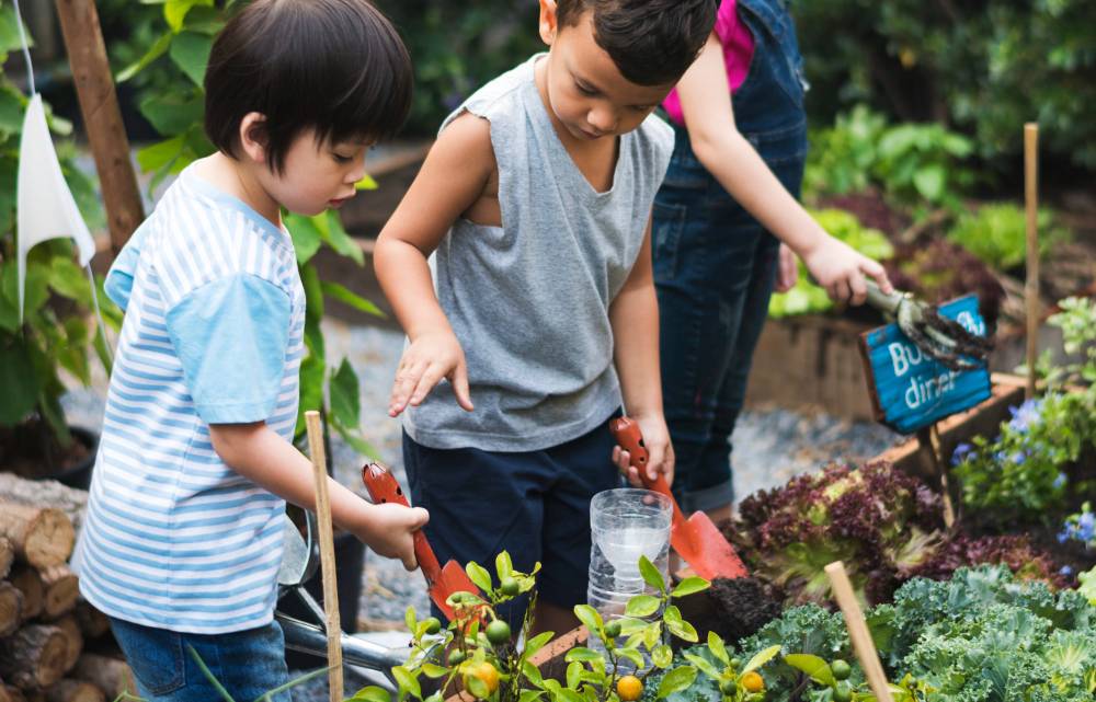 11 Rekomendasi Holiday Camp untuk Anak SD Hingga SMA