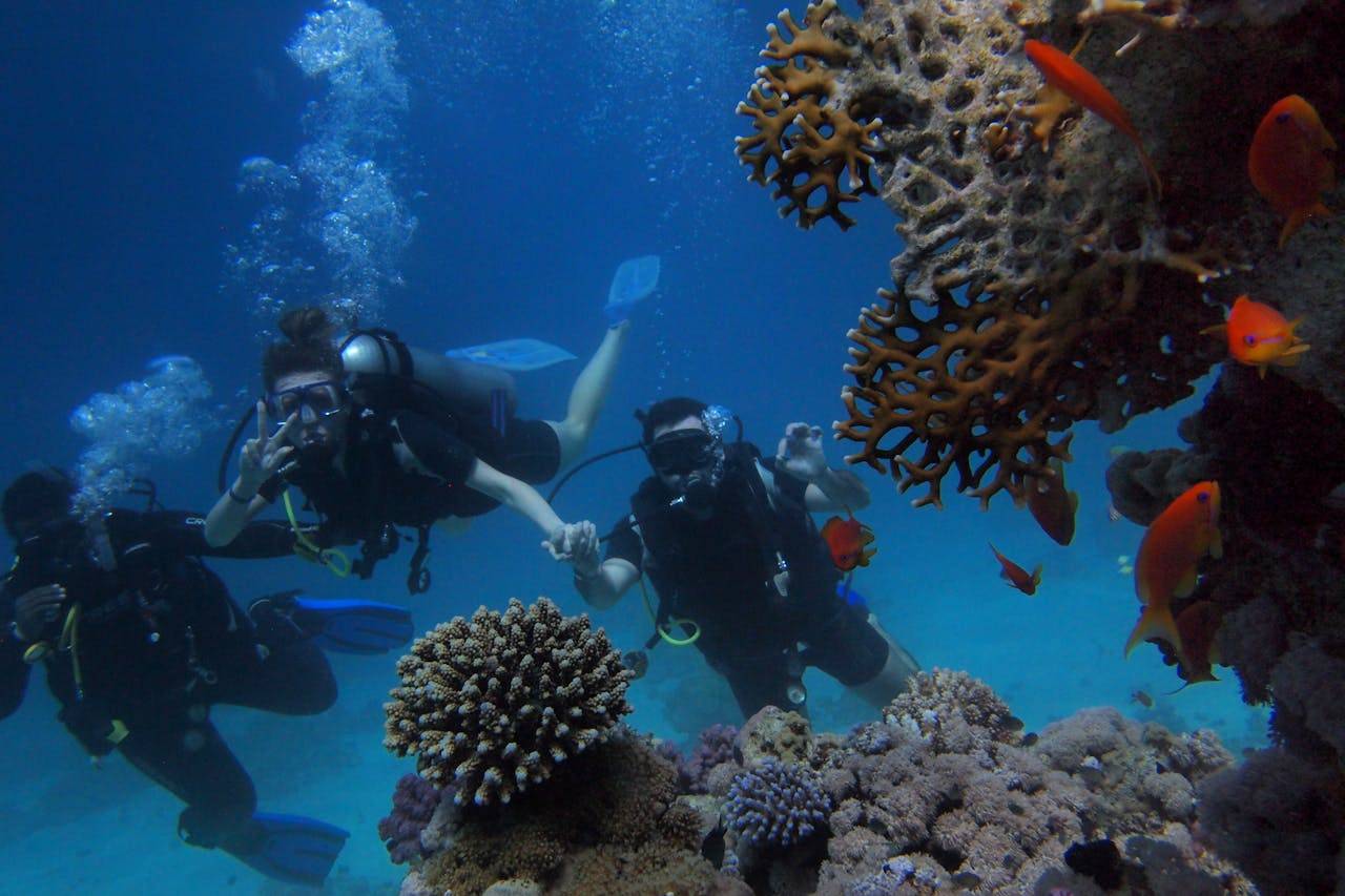 8 Spot Snorkeling di Kepulauan Seribu dan Rekomendasi Hotel Terdekat