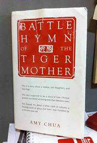 The Tiger Mom; What I Learned From The Book
