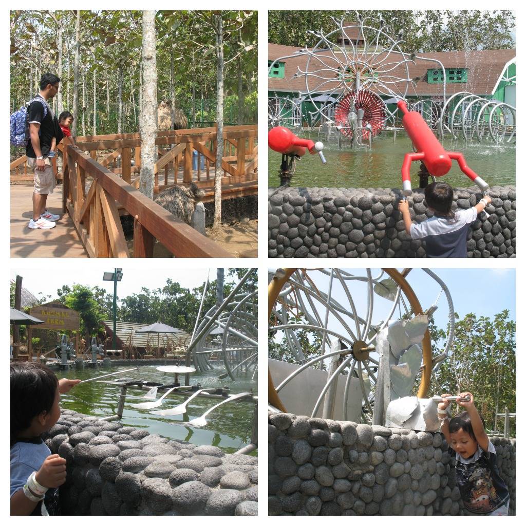 Fun & Study di Eco Green Park