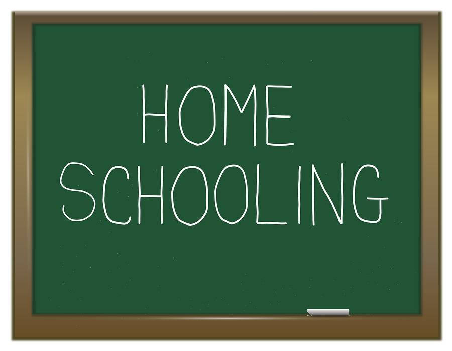 7 Rekomendasi Sekolah untuk Homeschooling