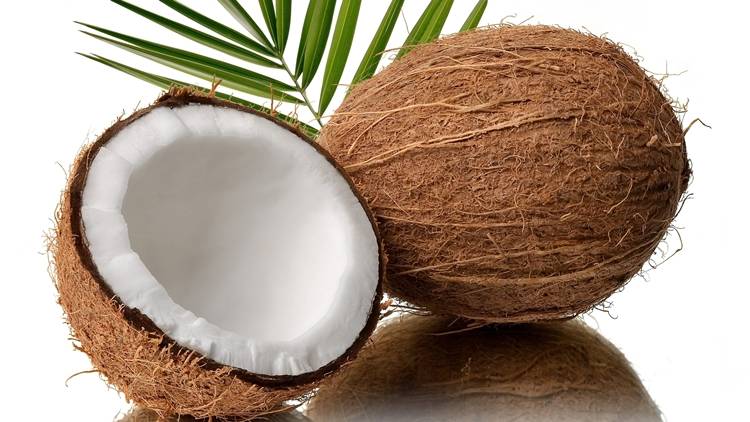 Coconut Oil, The Oil That Heal Almost Everything