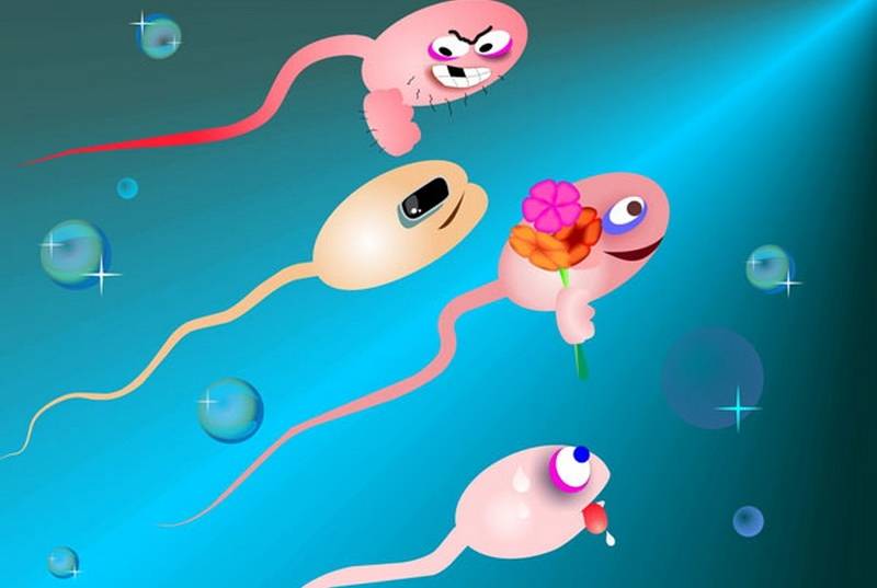 Kualitas Sperma Bisa Banget Ditingkatkan Lho
