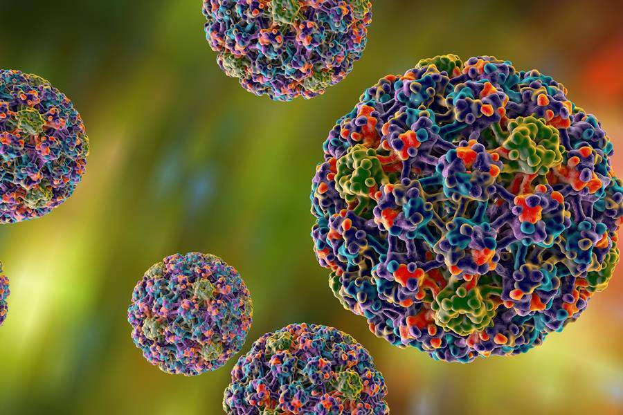 Norovirus: Virus Menular yang Juga Patut Diwaspadai