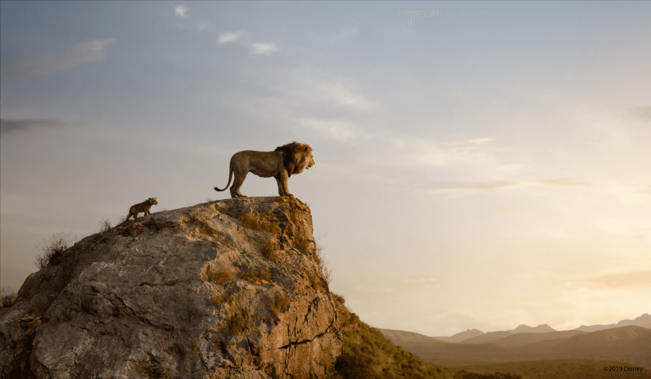 Lion King, Tentang Sosok Pemimpin yang Bertanggung Jawab, Tegas Namun Hangat