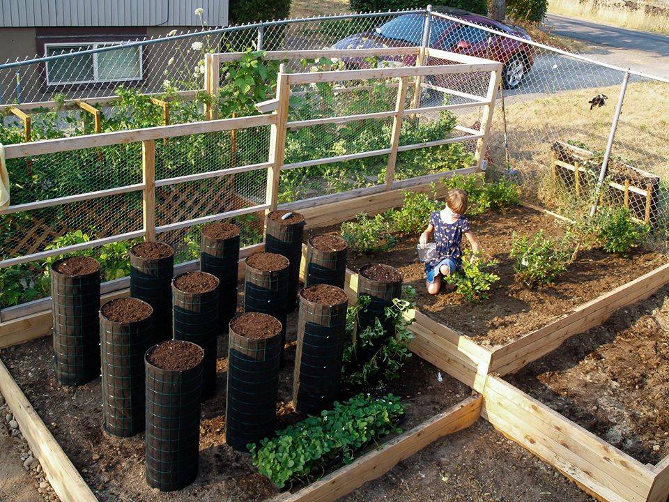 Keren! Anak 14 Tahun Membuat Kebun Sayuran & Rumah Sederhana untuk Tuna Wisma