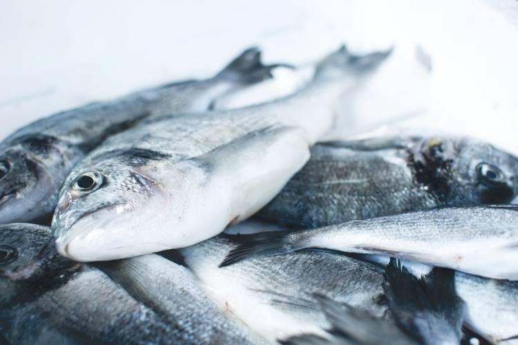 8 Jenis Ikan Untuk MPASI yang Murah Meriah dan Sehat