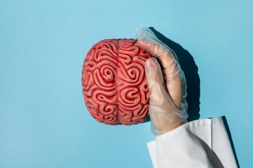 Bisa Fatal, Ini 5 Penyebab Pendarahan Otak yang Paling Umum dan Wajib Diwaspadai!