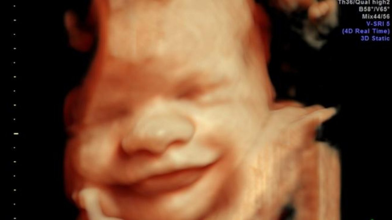 8 Hal Yang Dirasakan Bayi Di Dalam Kandungan Mommies Daily