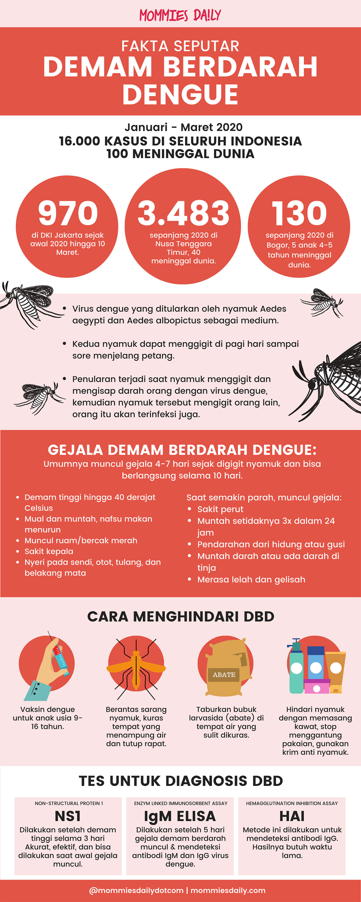 Infografik Fakta dan Data Terbaru Kasus DBD di Indonesia  Mommies Daily