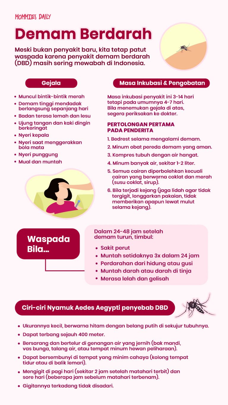 INFOGRAFIK: Demam Berdarah - Mommies Daily