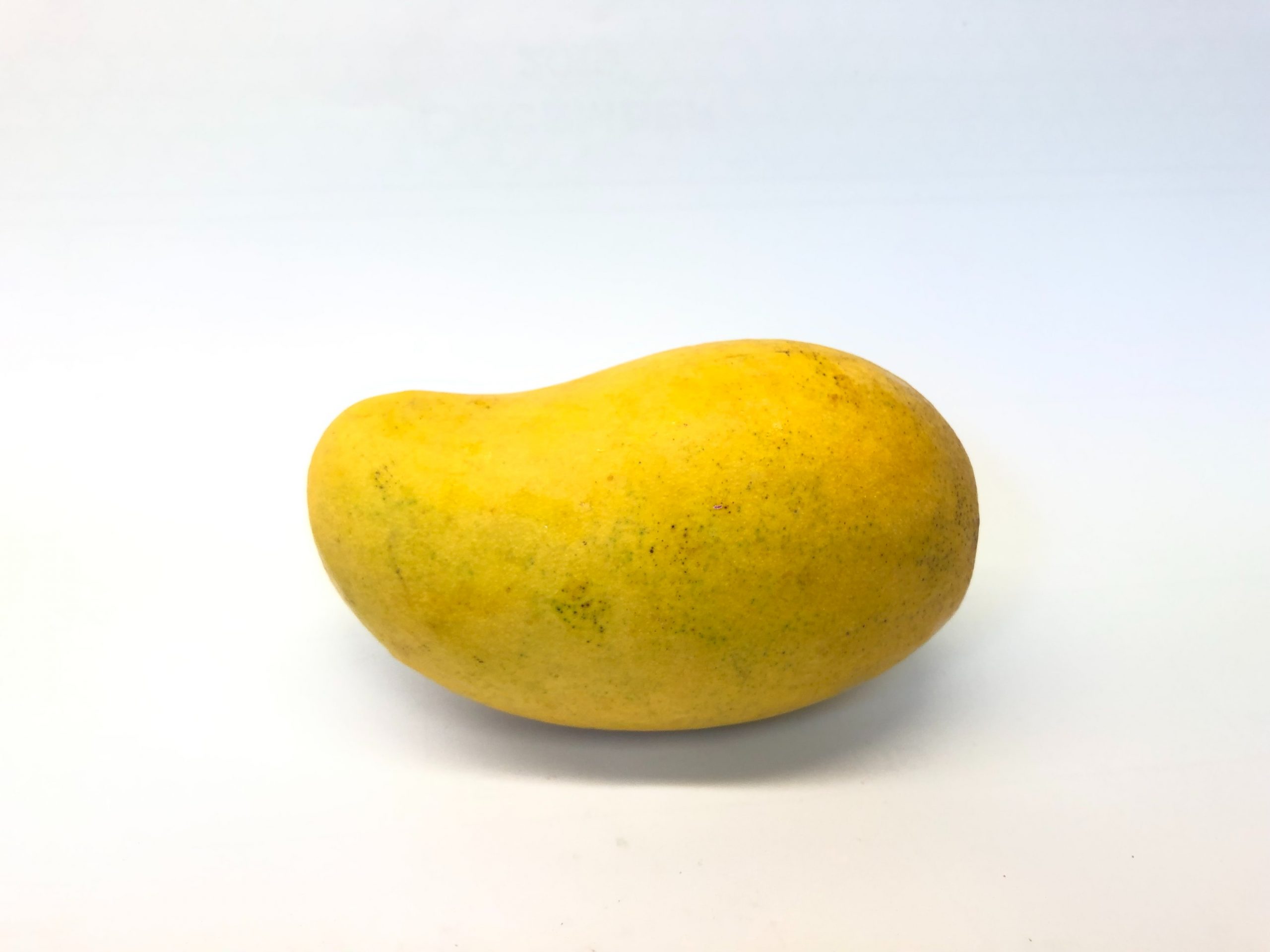 petik mangga