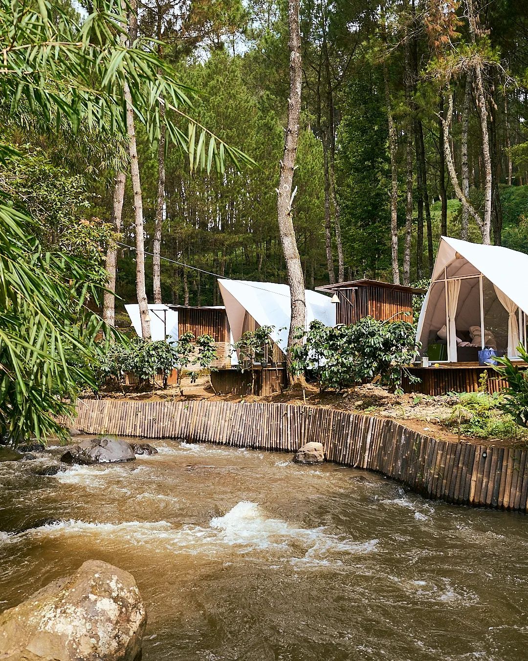 Review Glamping Lux Camp Riverside Di Pengalengan Bandung