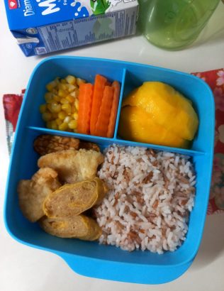 bekal makan siang