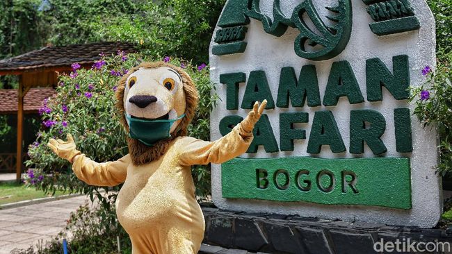 Taman safari