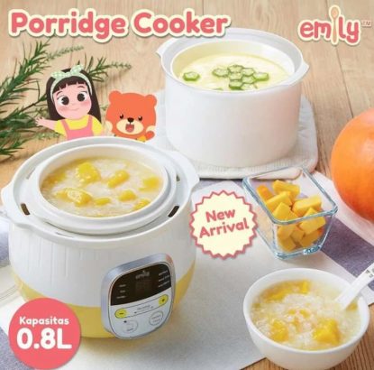 slow cooker mpasi