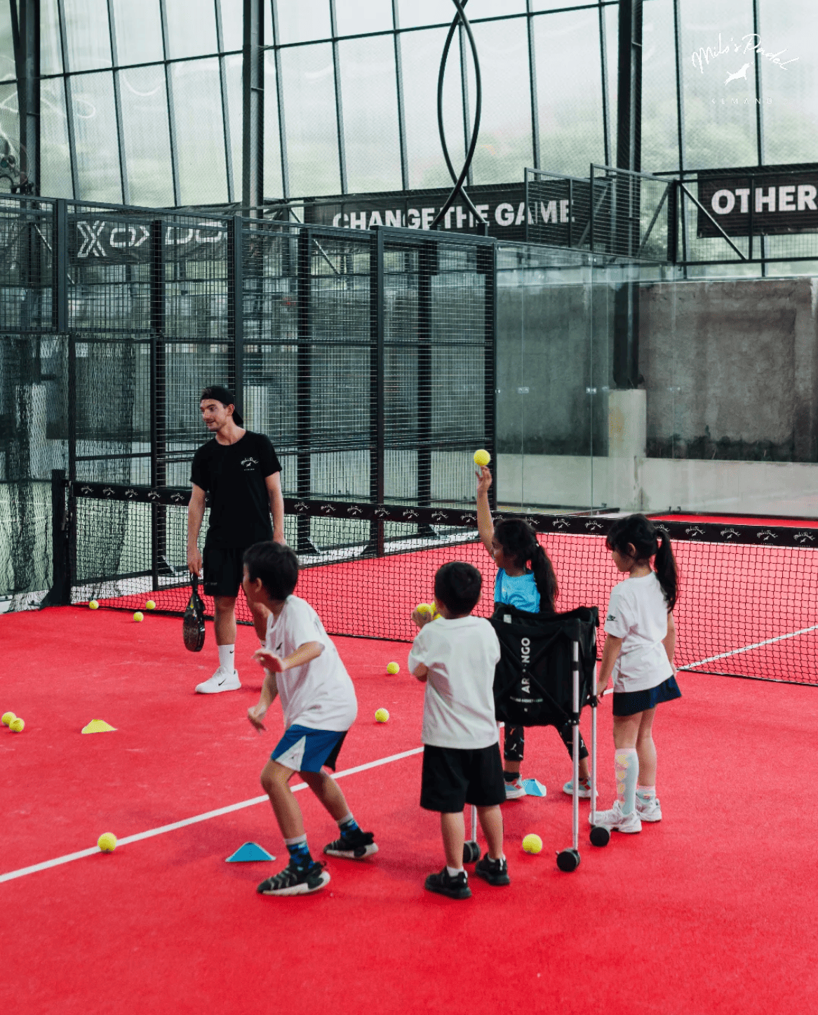 lapangan padel