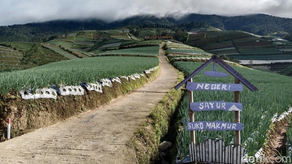 liburan anak remaja