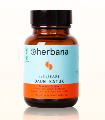 suplemen ibu menyusui