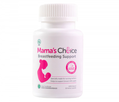 suplemen ibu menyusui