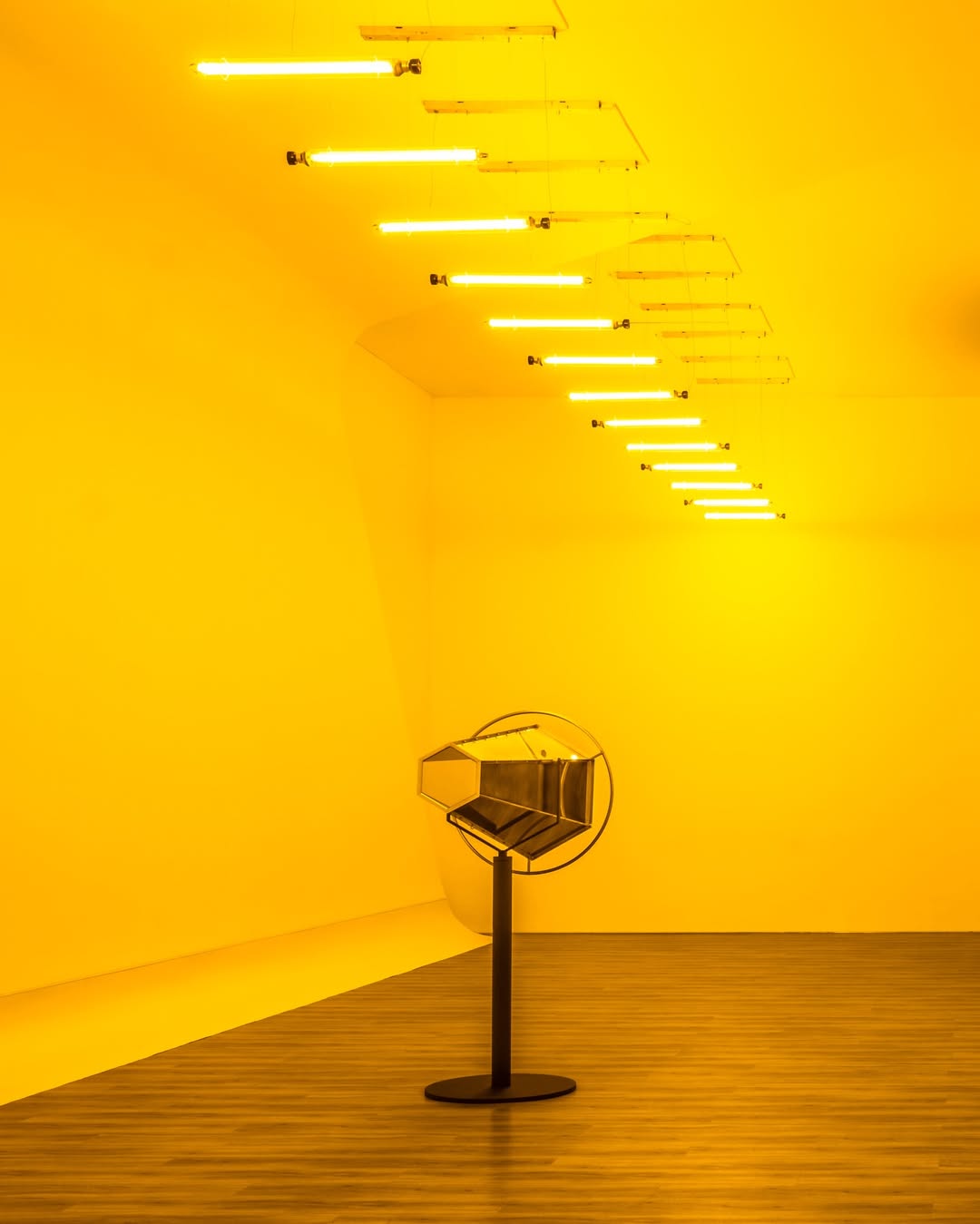 8 Acara dan Kegiatan Seru di Jakarta 6–12 April 2026 museum macan