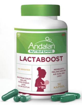 suplemen ibu menyusui