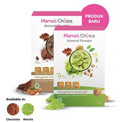 suplemen ibu menyusui