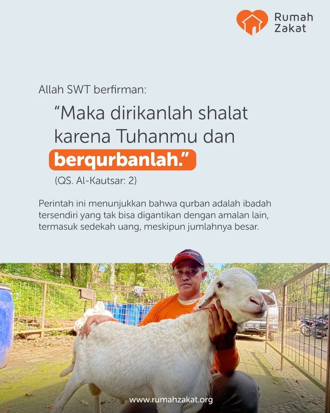 Cara Memilih Hewan Kurban yang Sehat dan Sesuai Syariat untuk Idul Adha, serta Tempat Belinya