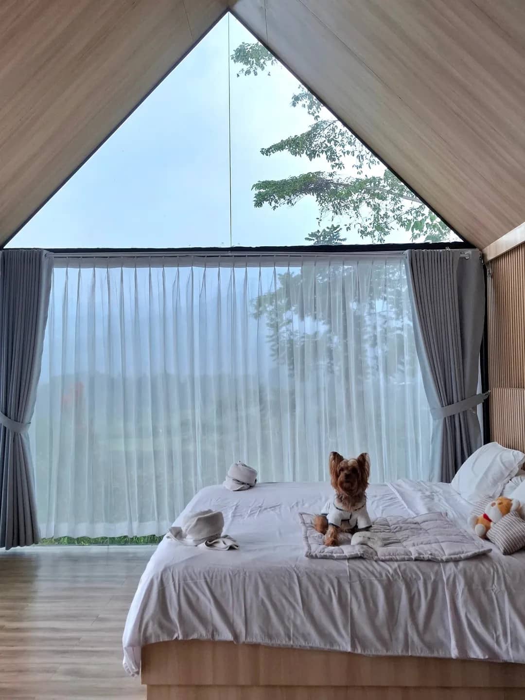 Hotel dan Villa Pet Friendly di Jawa Barat, Liburan bareng Anabul