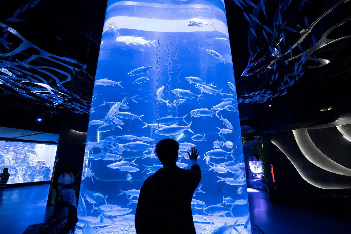Rekomendasi Aquarium Date bareng Anak yang Seru, Edukatif, dan Instagramable