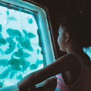 Rekomendasi Aquarium Date bareng Anak yang Seru, Edukatif, dan Instagramable