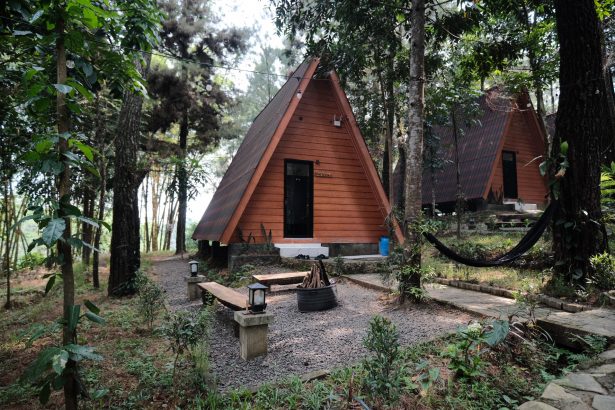 resort hutan pinus