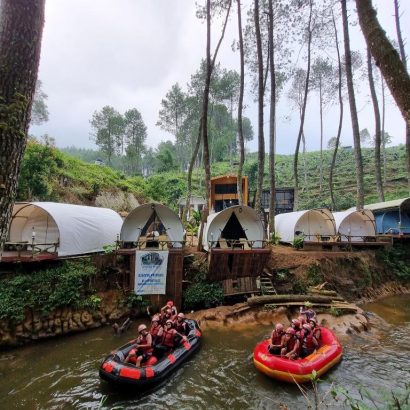 resort hutan pinus