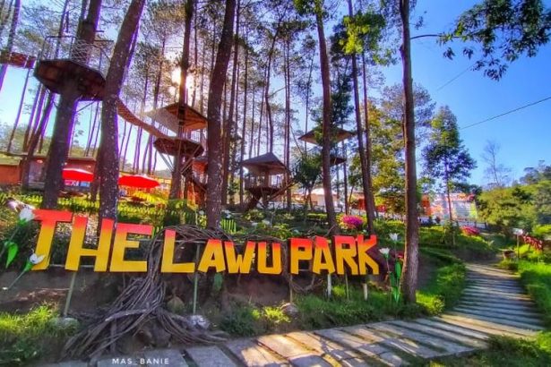 Rekomendasi Glamping Ramah Anak di Jawa Tengah untuk Liburan Keluarga