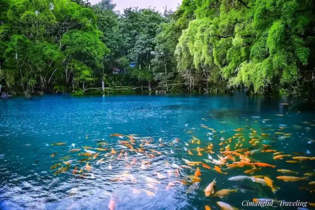 Destinasi Road Trip Keluarga yang Ramah Anak, Seru untuk Liburan