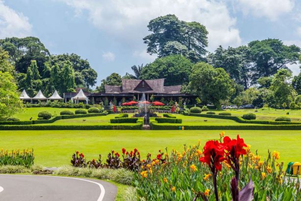 Tempat Healing Dekat Jakarta untuk Long Weekend Bersama Anak